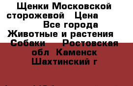 Щенки Московской сторожевой › Цена ­ 35 000 - Все города Животные и растения » Собаки   . Ростовская обл.,Каменск-Шахтинский г.